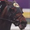 NTRA Breeder's Cup: World Thoroughbred (PlayStation 2) cover art