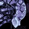 Axiom Verge (PC) cover art