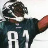 ESPN NFL 2K5 (PlayStation 2) cover art