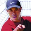 Tiger Woods PGA Tour 2001 (PlayStation 2) cover art