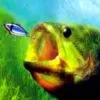 In-Fisherman Bass Hunter 64 (Nintendo 64) cover art