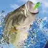 Mark Davis Pro Bass Challenge (GameCube) cover art