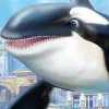 Sea World: Shamu's Deep Sea Adventures (Game Boy Advance) cover art