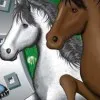 Clever Kids: Pony World (DS) cover art