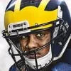 NCAA Football 14 (PlayStation 3) cover art