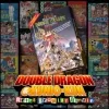 Double Dragon II: The Revenge (PlayStation 4) cover art