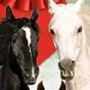 Petz: Saddle Club (PSP) cover art